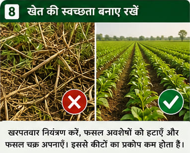 Green India Care Farming Tips & Tricks
