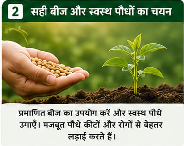 Green India Care Farming Tips & Tricks