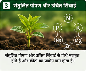 Green India Care Farming Tips & Tricks