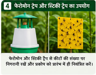 Green India Care Farming Tips & Tricks