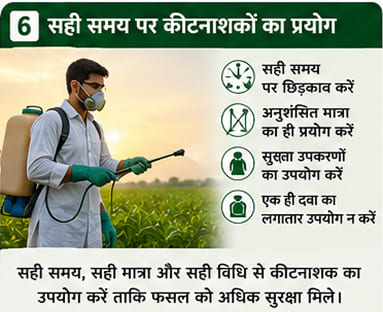 Green India Care Farming Tips & Tricks