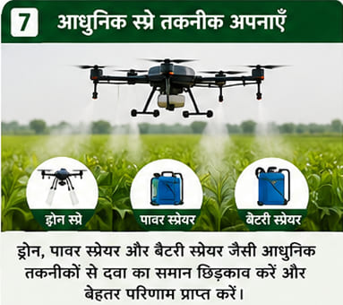 Green India Care Farming Tips & Tricks
