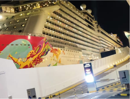 Green India Care Singapore Trip